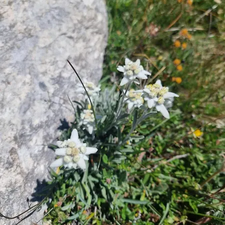 Appartamento Rooftop Loft Zermatt