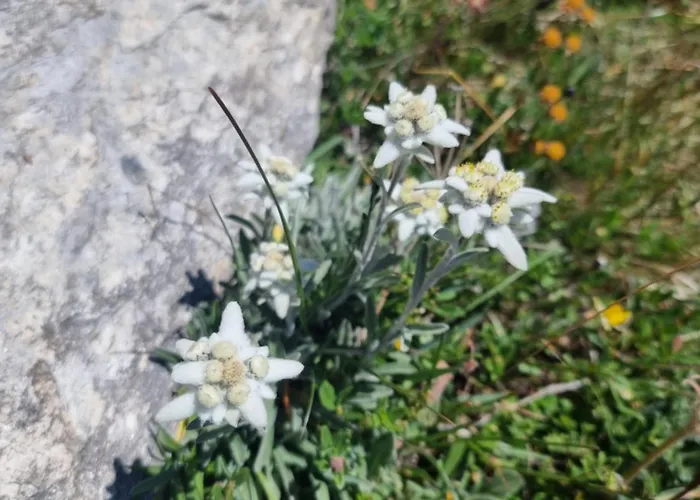 Appartamento Rooftop Loft Zermatt
