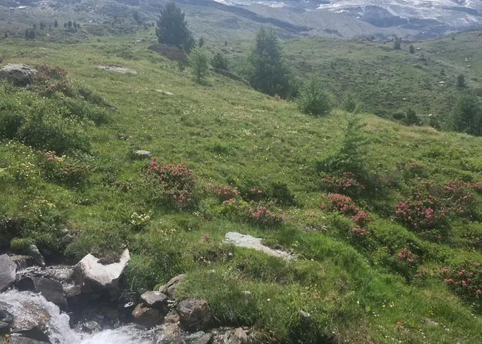 Rooftop Loft 采尔马特